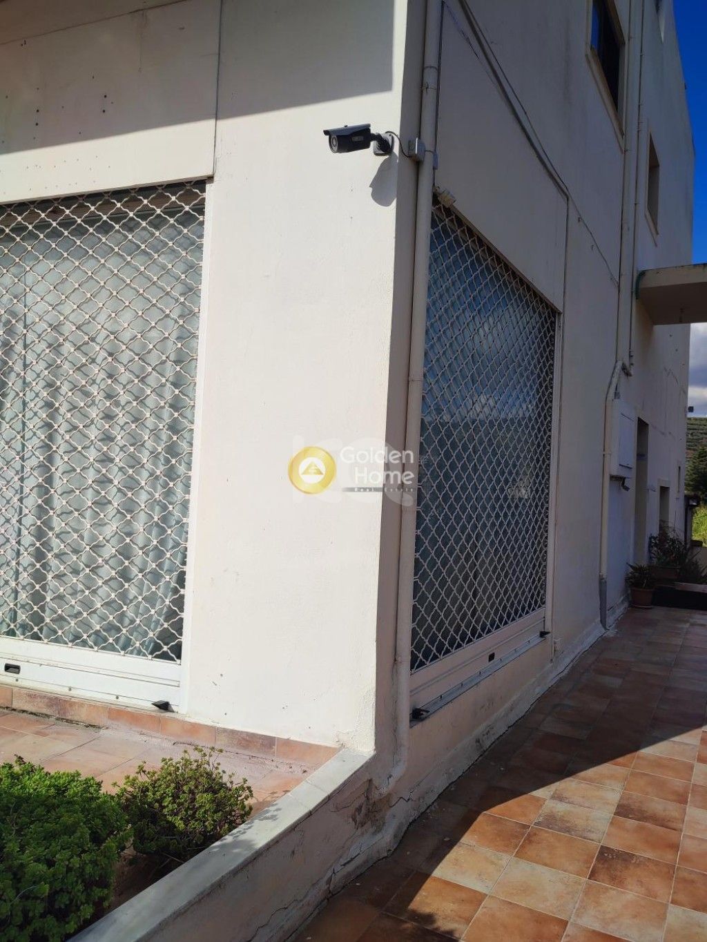 εικόνα αγγελίας