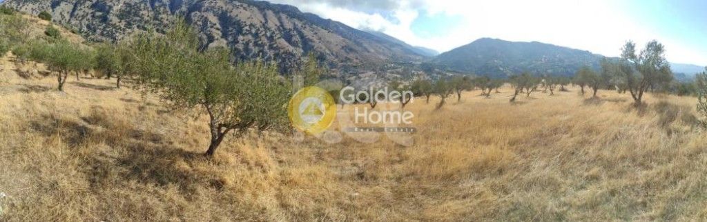 εικόνα αγγελίας