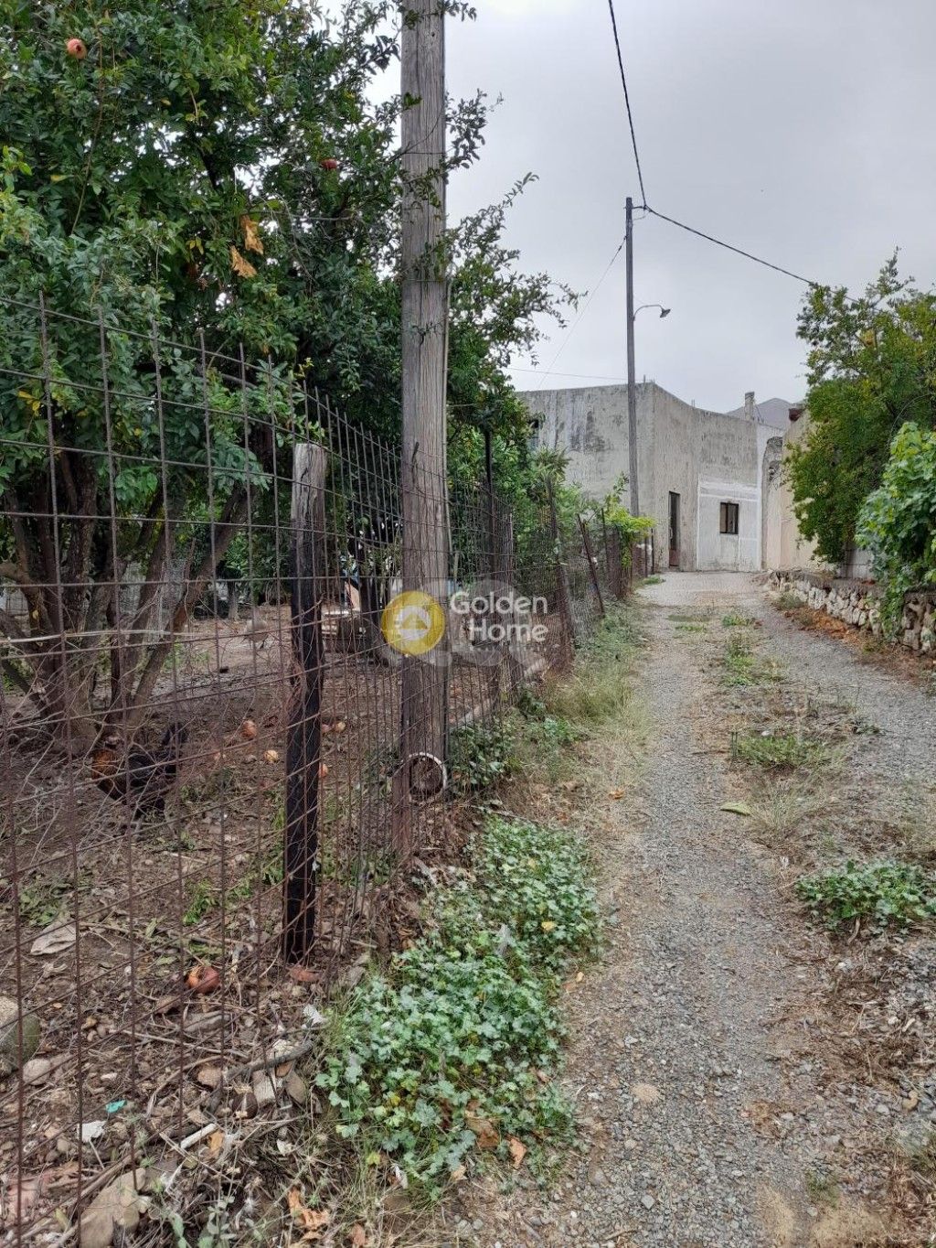 εικόνα αγγελίας