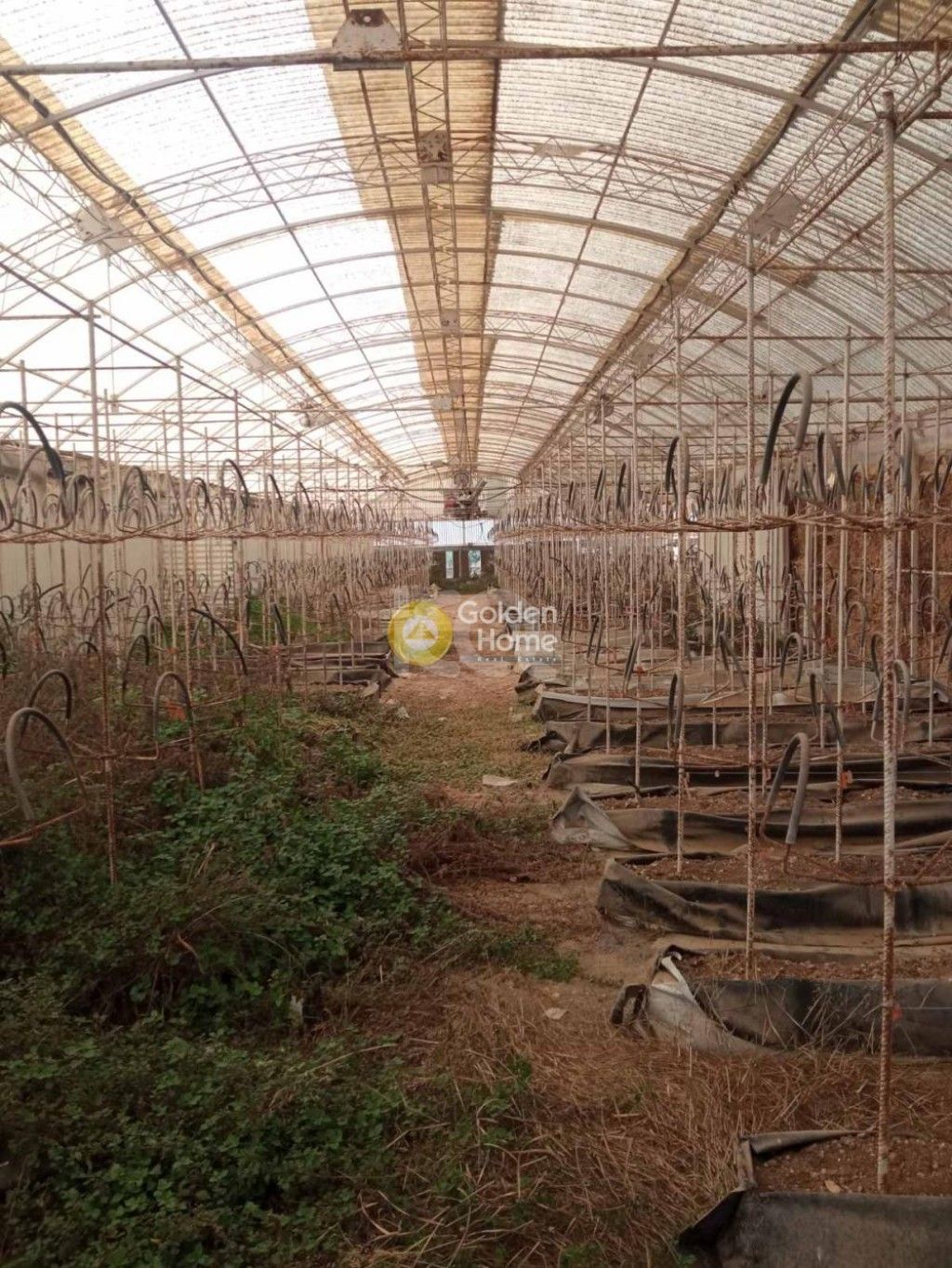 εικόνα αγγελίας