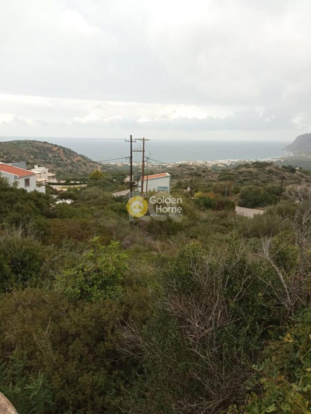 εικόνα αγγελίας