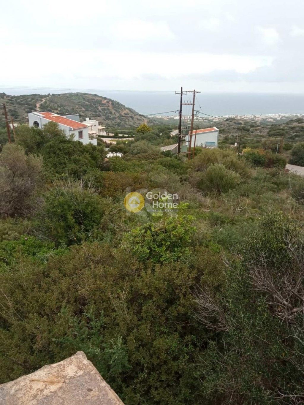 εικόνα αγγελίας