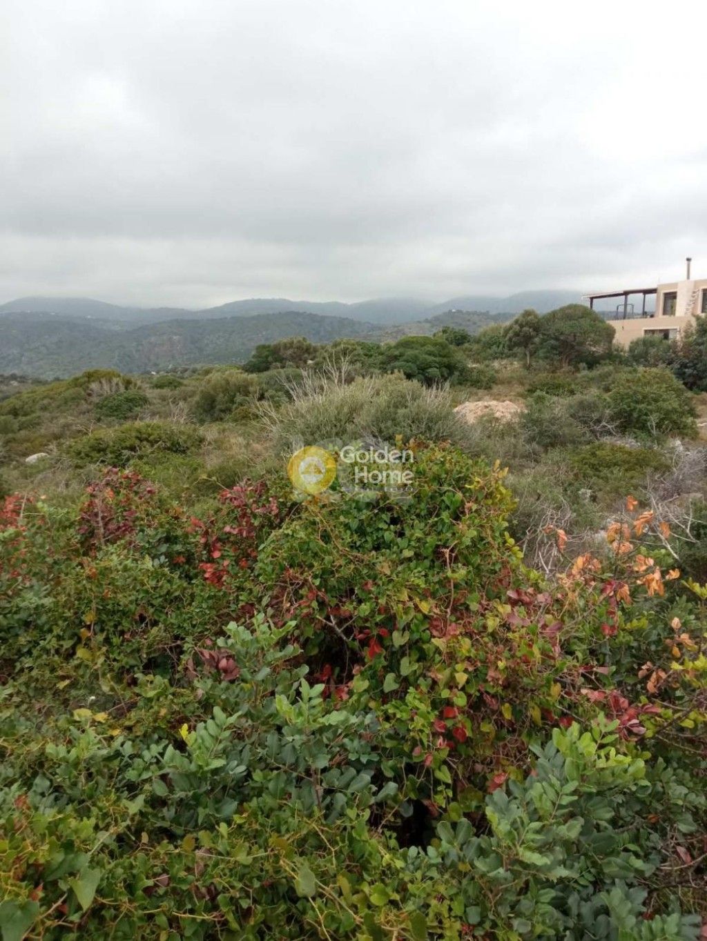 εικόνα αγγελίας