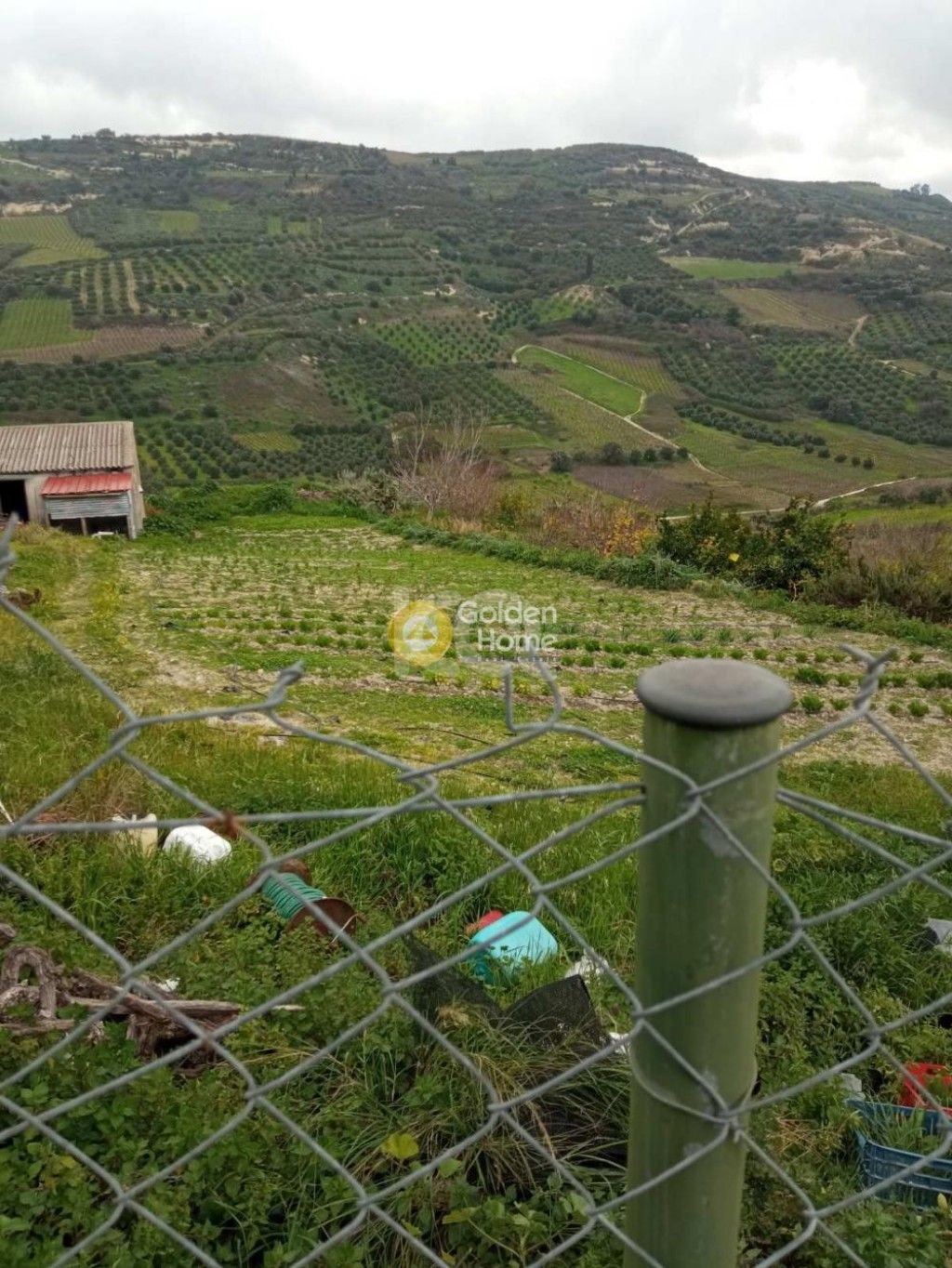 εικόνα αγγελίας