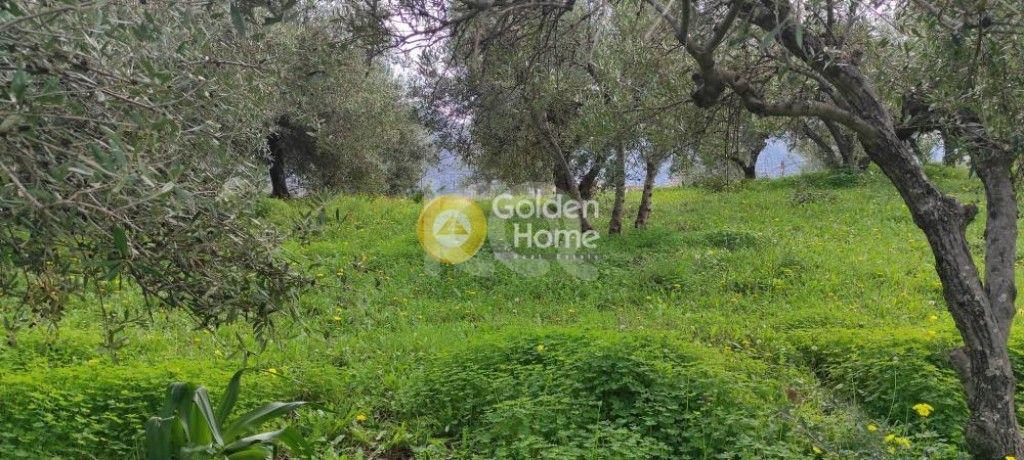 εικόνα αγγελίας