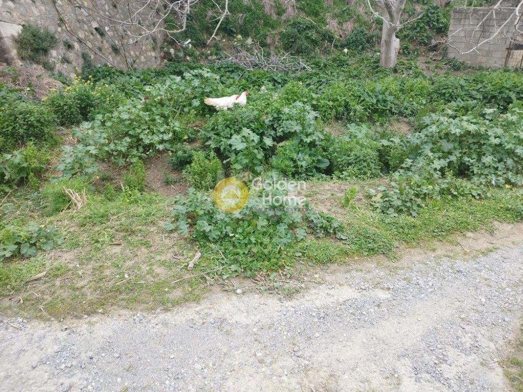 εικόνα αγγελίας