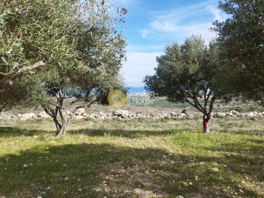 εικόνα αγγελίας