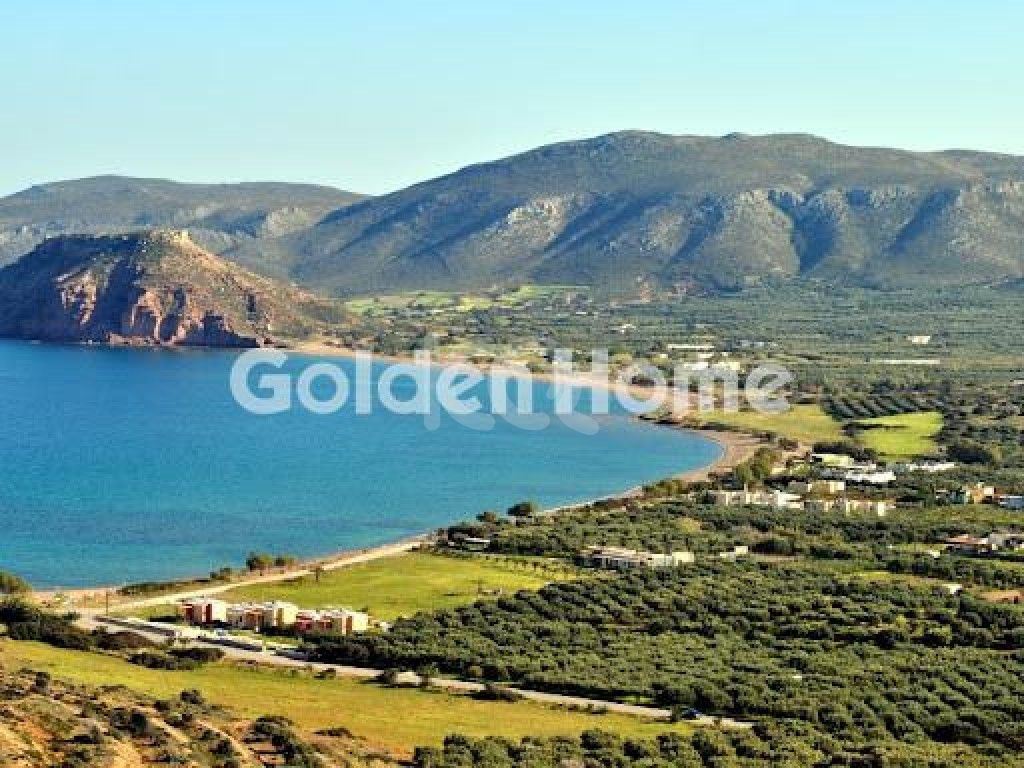 εικόνα αγγελίας