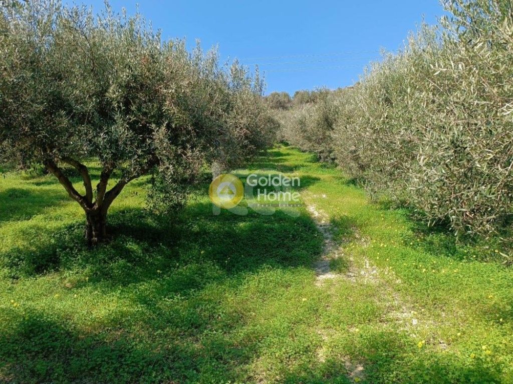 εικόνα αγγελίας