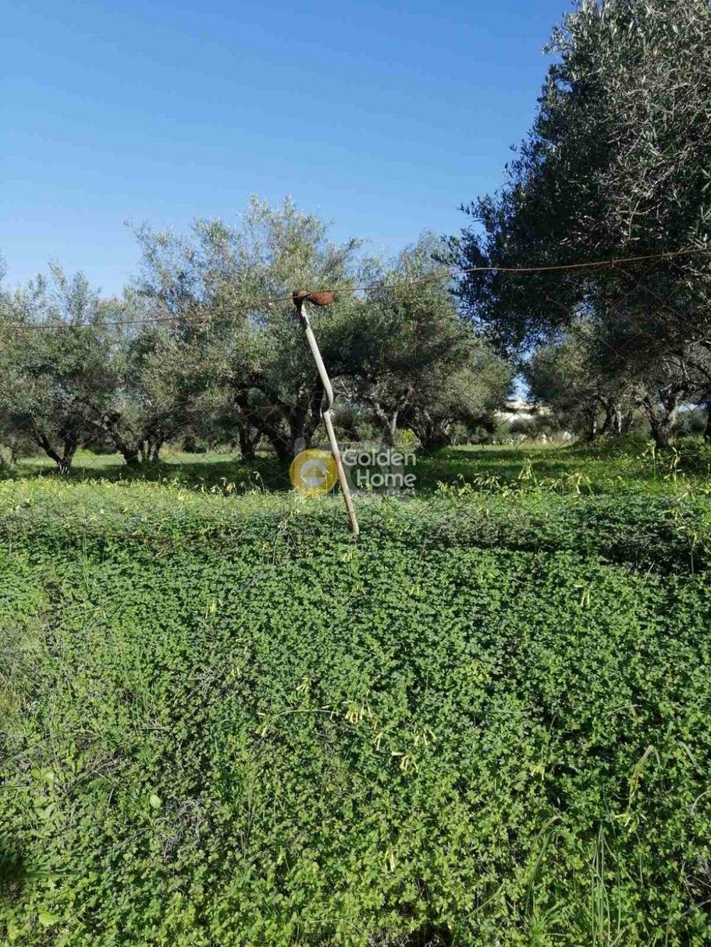 εικόνα αγγελίας