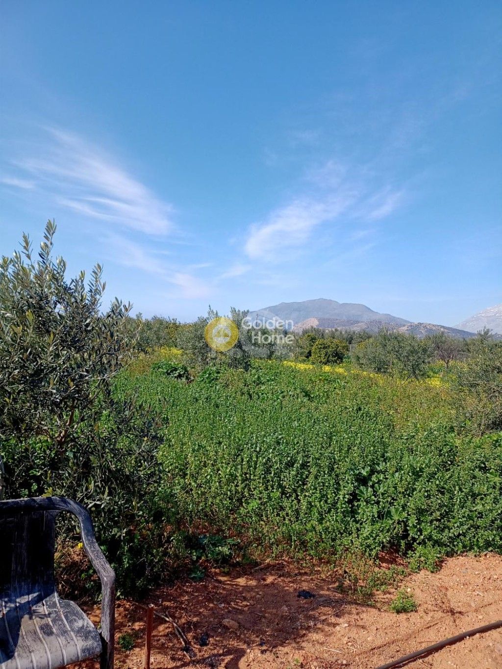 εικόνα αγγελίας