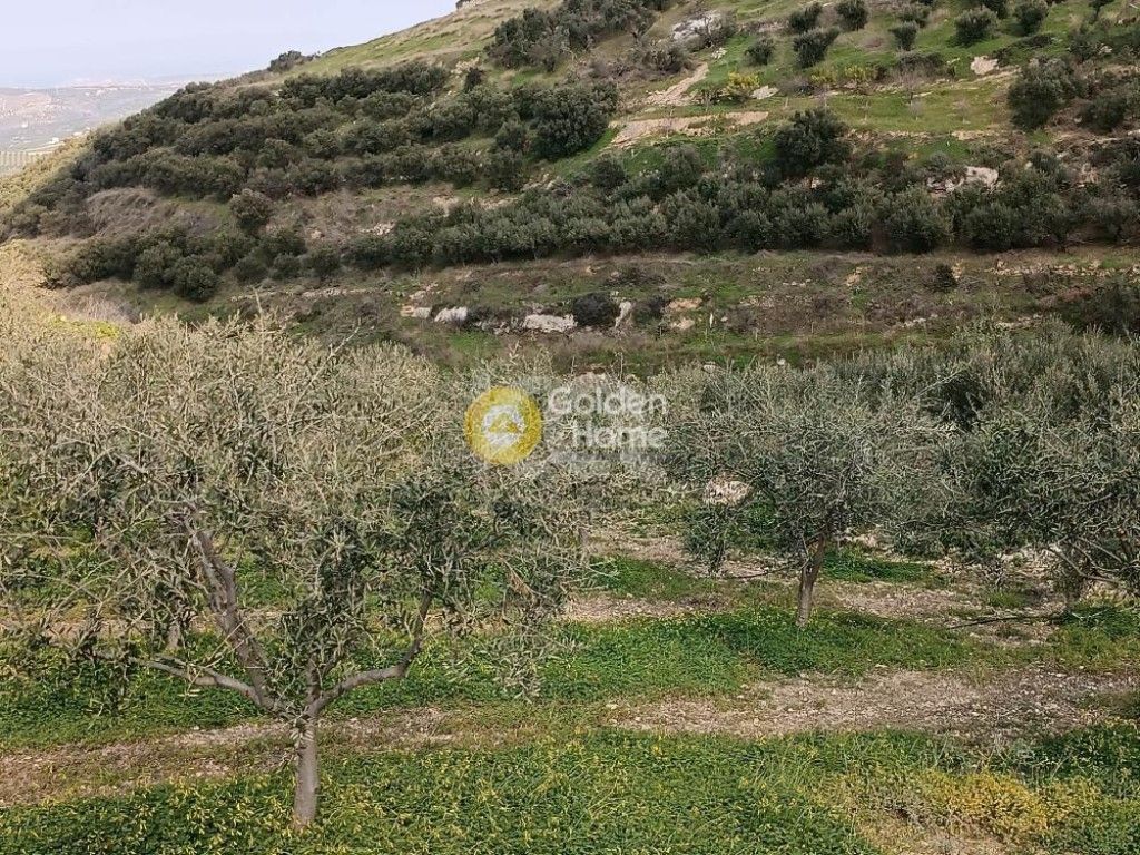 εικόνα αγγελίας