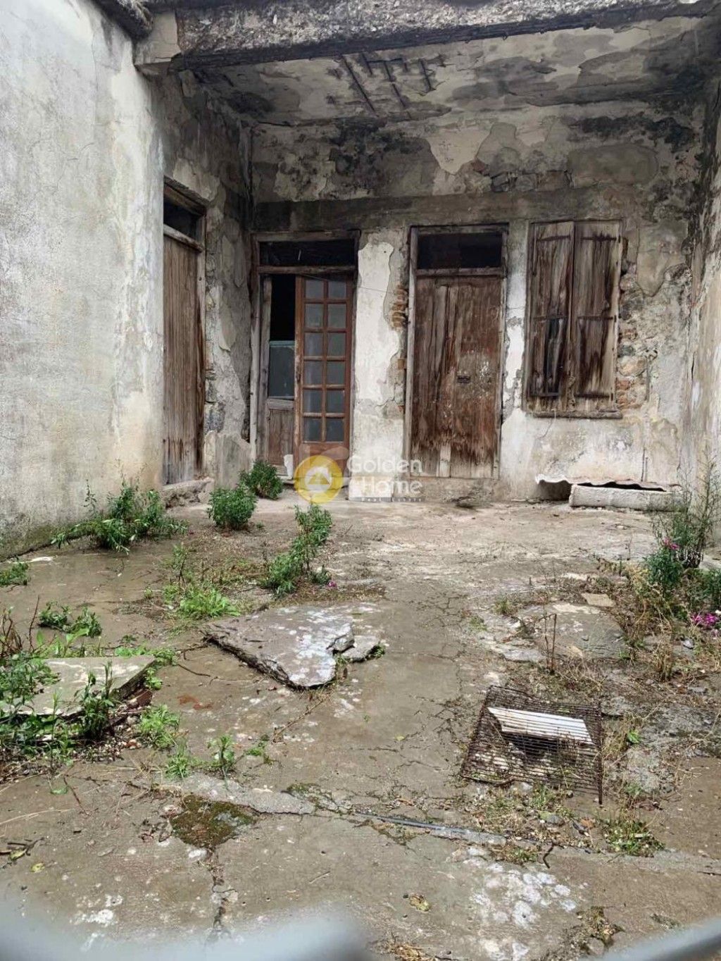 εικόνα αγγελίας