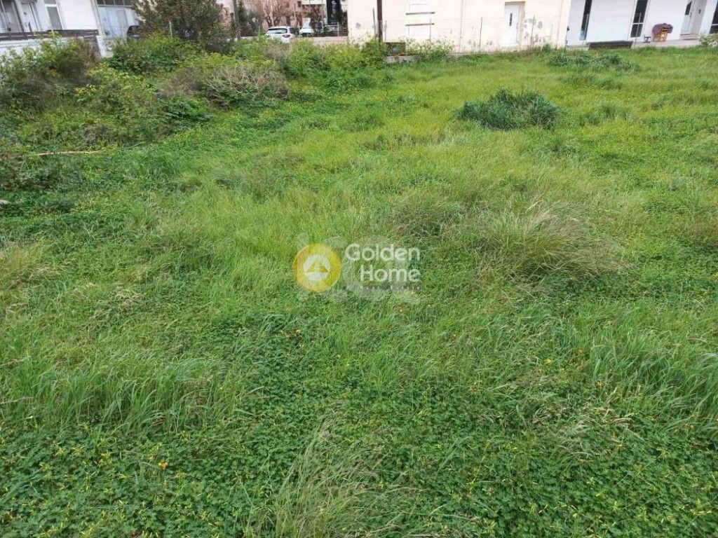 εικόνα αγγελίας