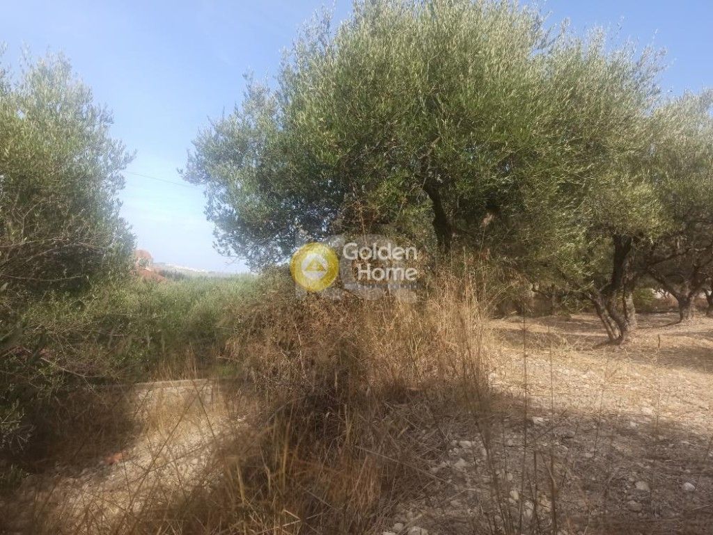 εικόνα αγγελίας