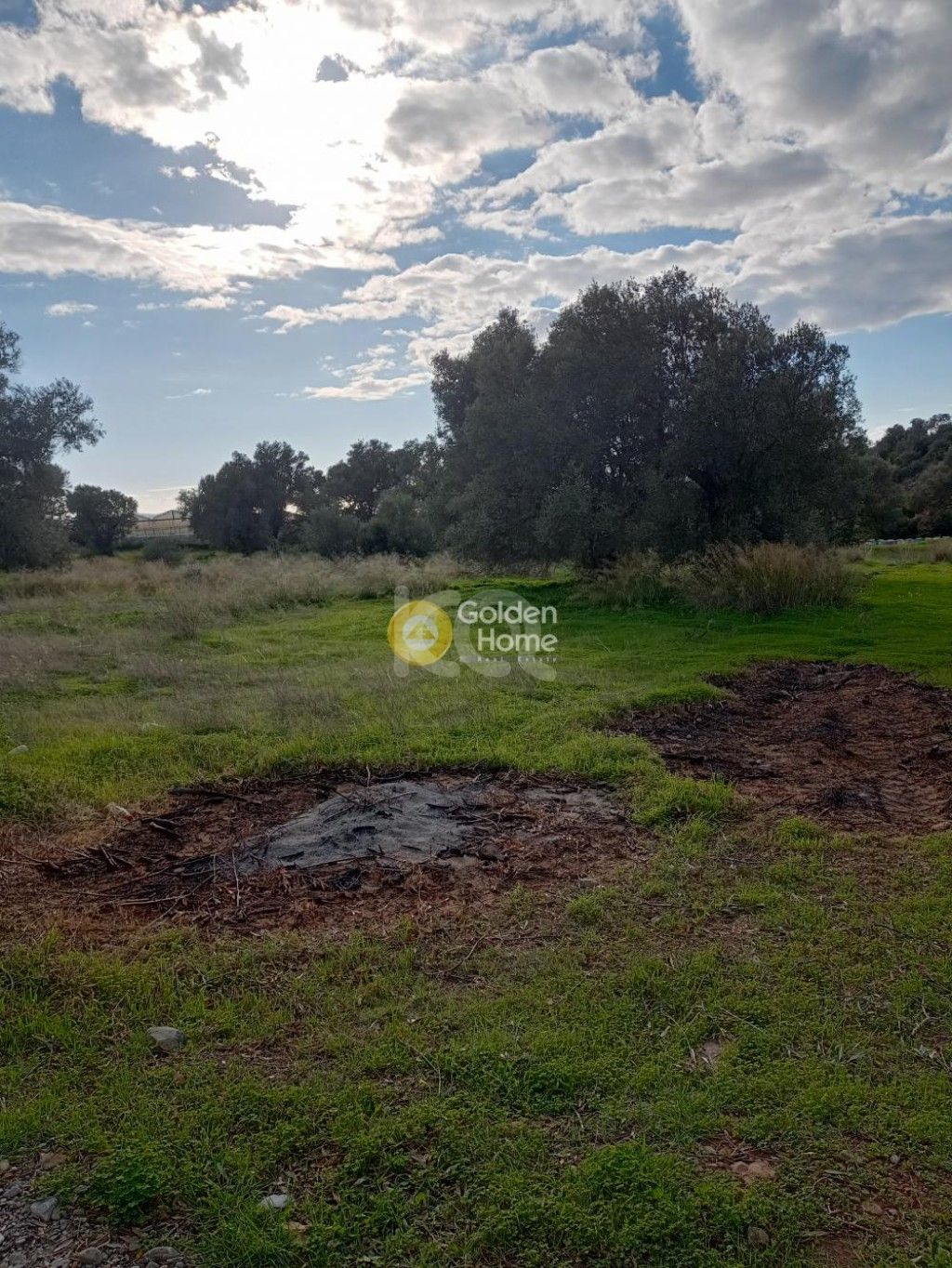 εικόνα αγγελίας