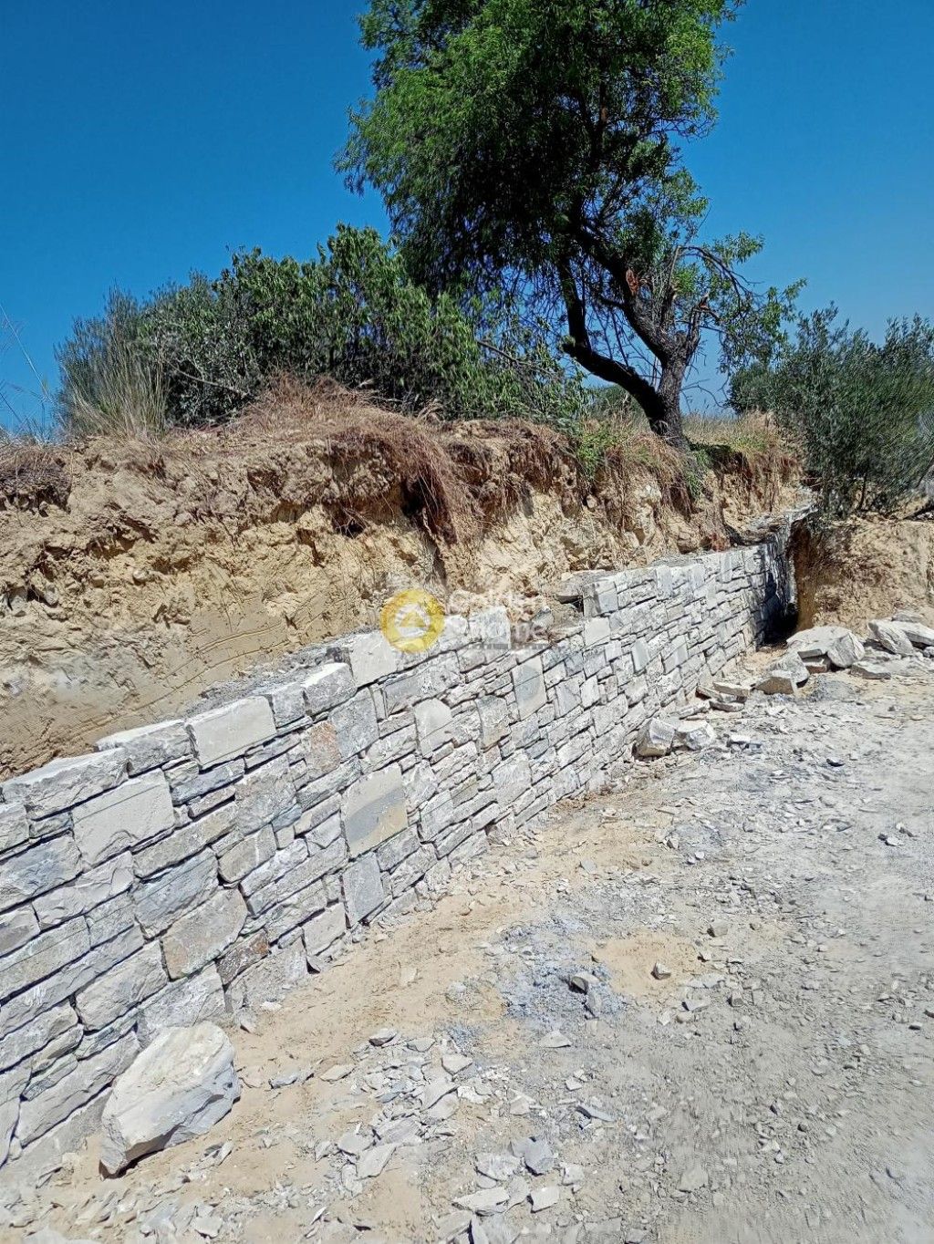 εικόνα αγγελίας