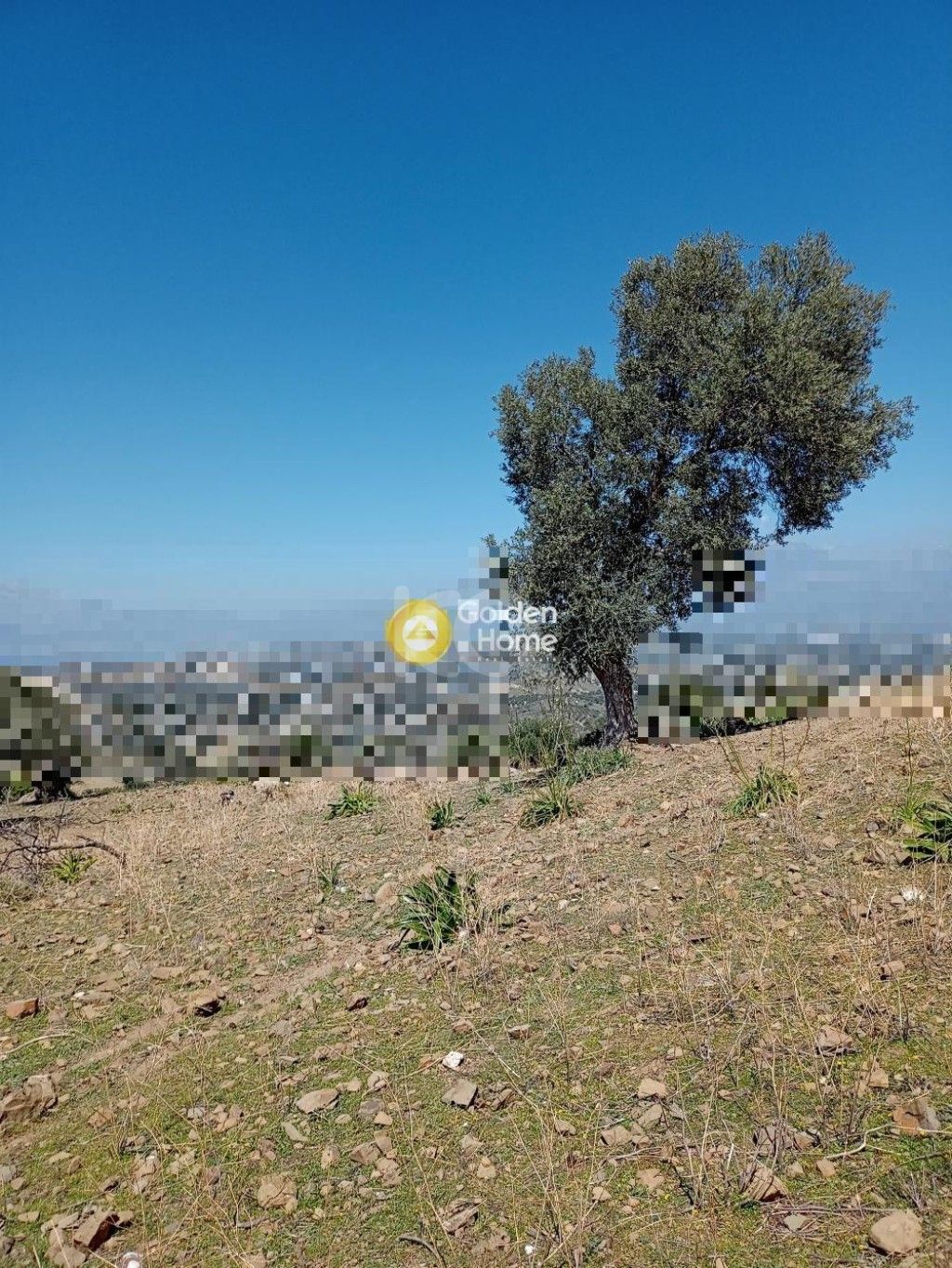 εικόνα αγγελίας