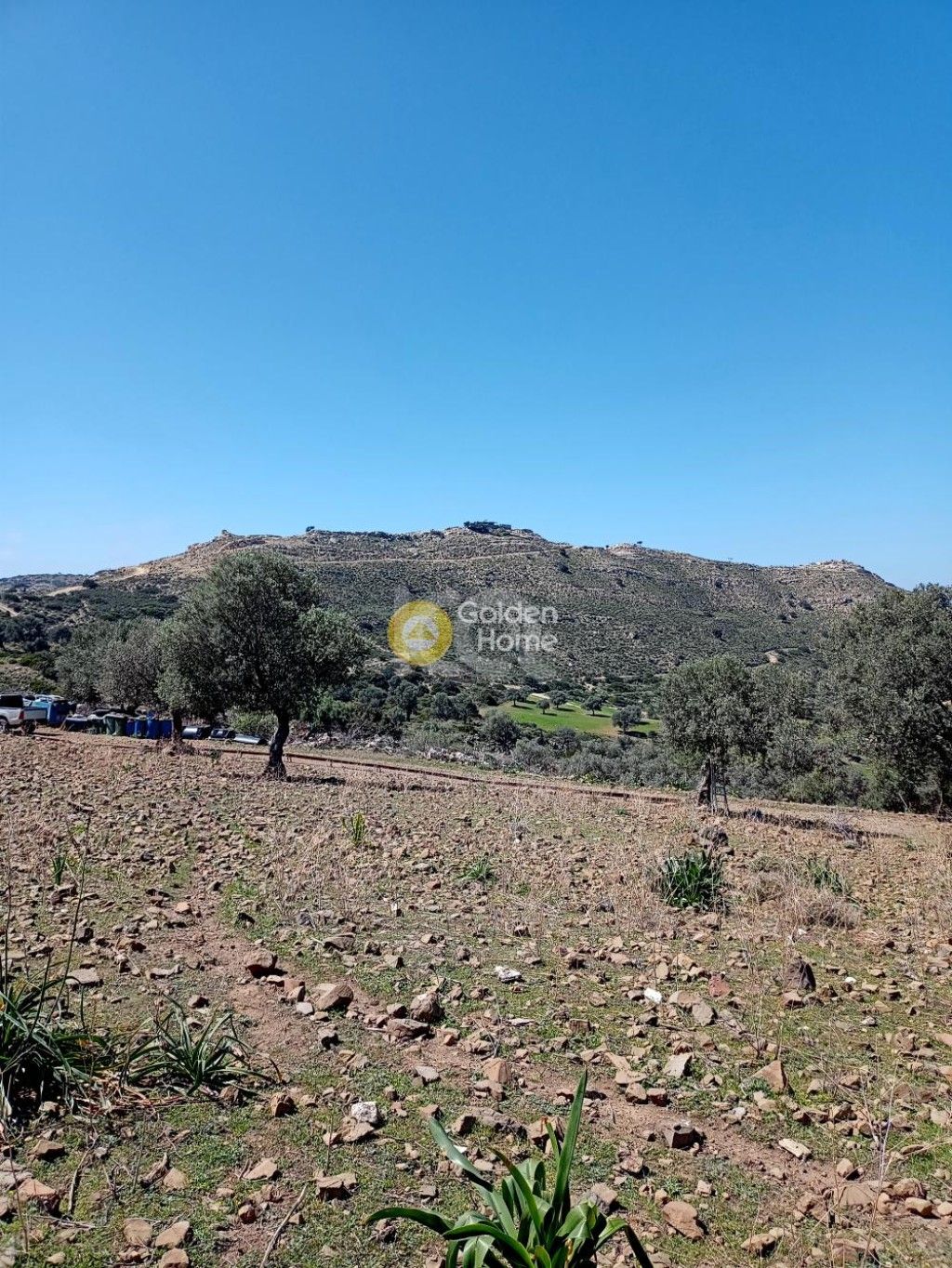 εικόνα αγγελίας