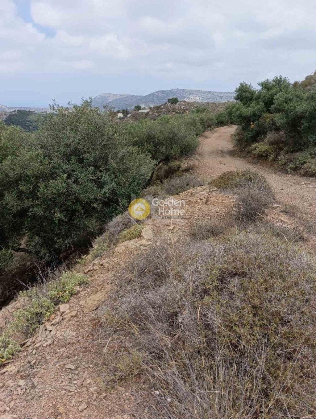 εικόνα αγγελίας