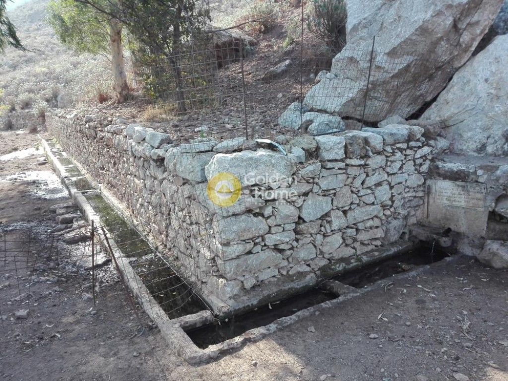 εικόνα αγγελίας