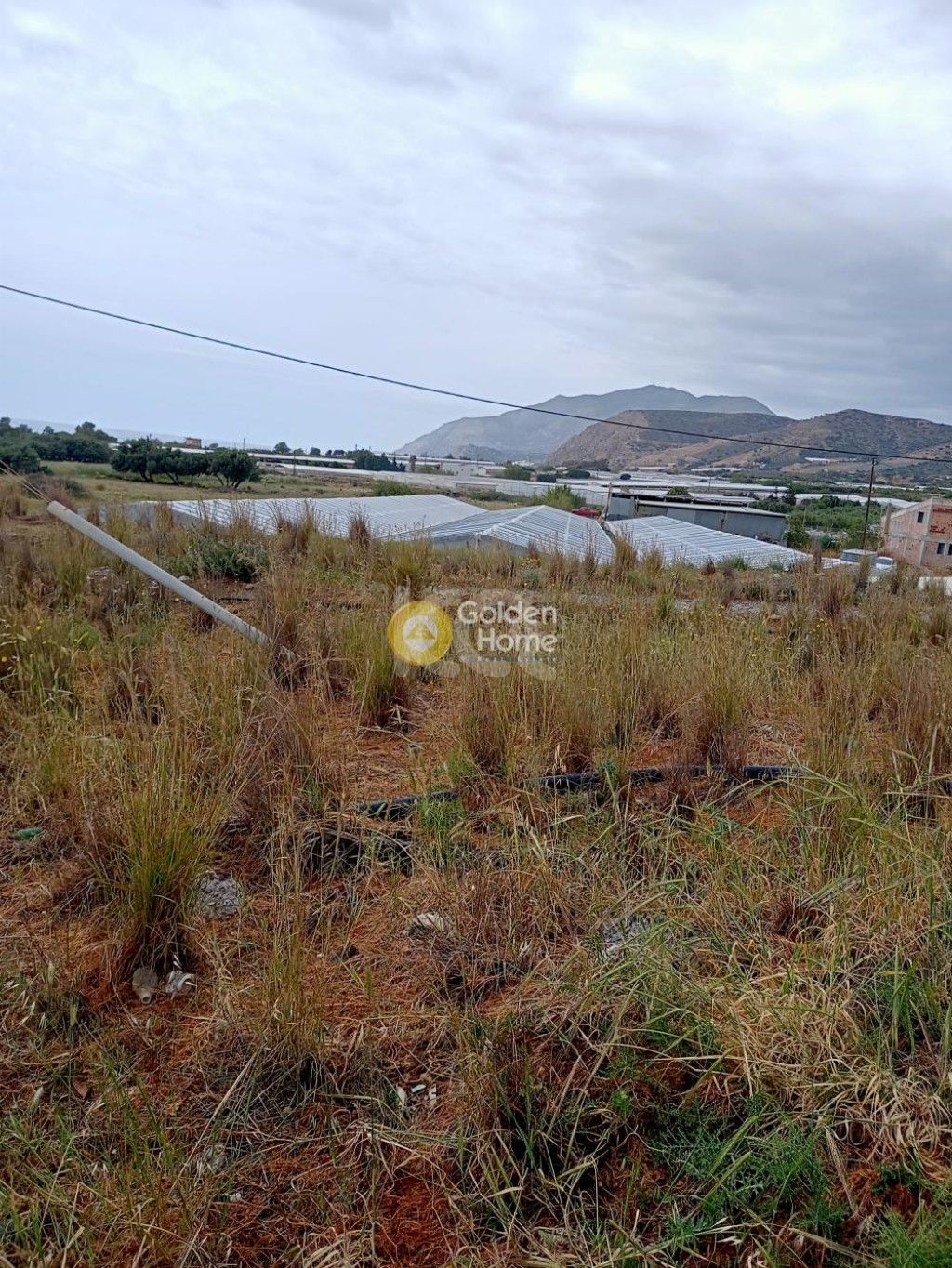 εικόνα αγγελίας