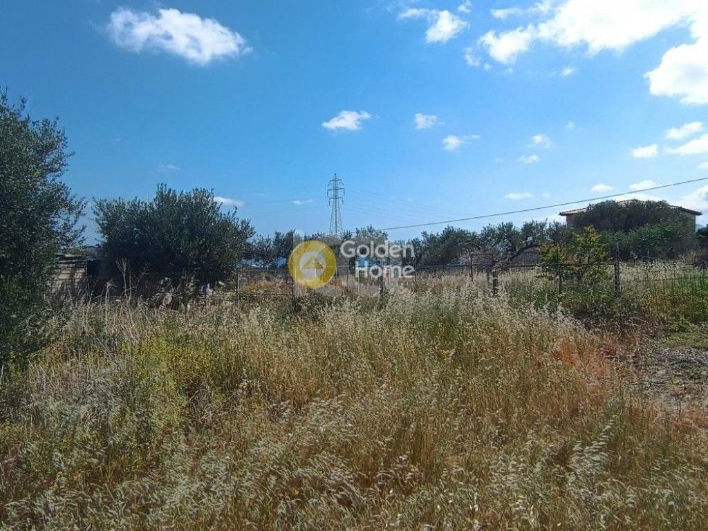 εικόνα αγγελίας