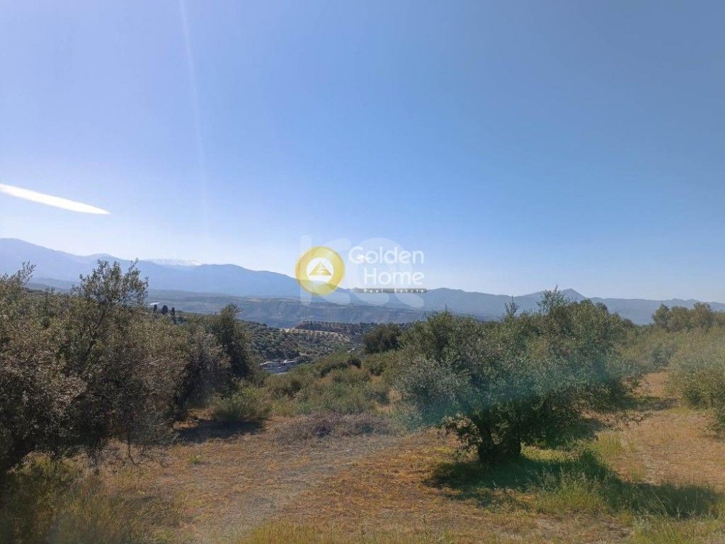 εικόνα αγγελίας