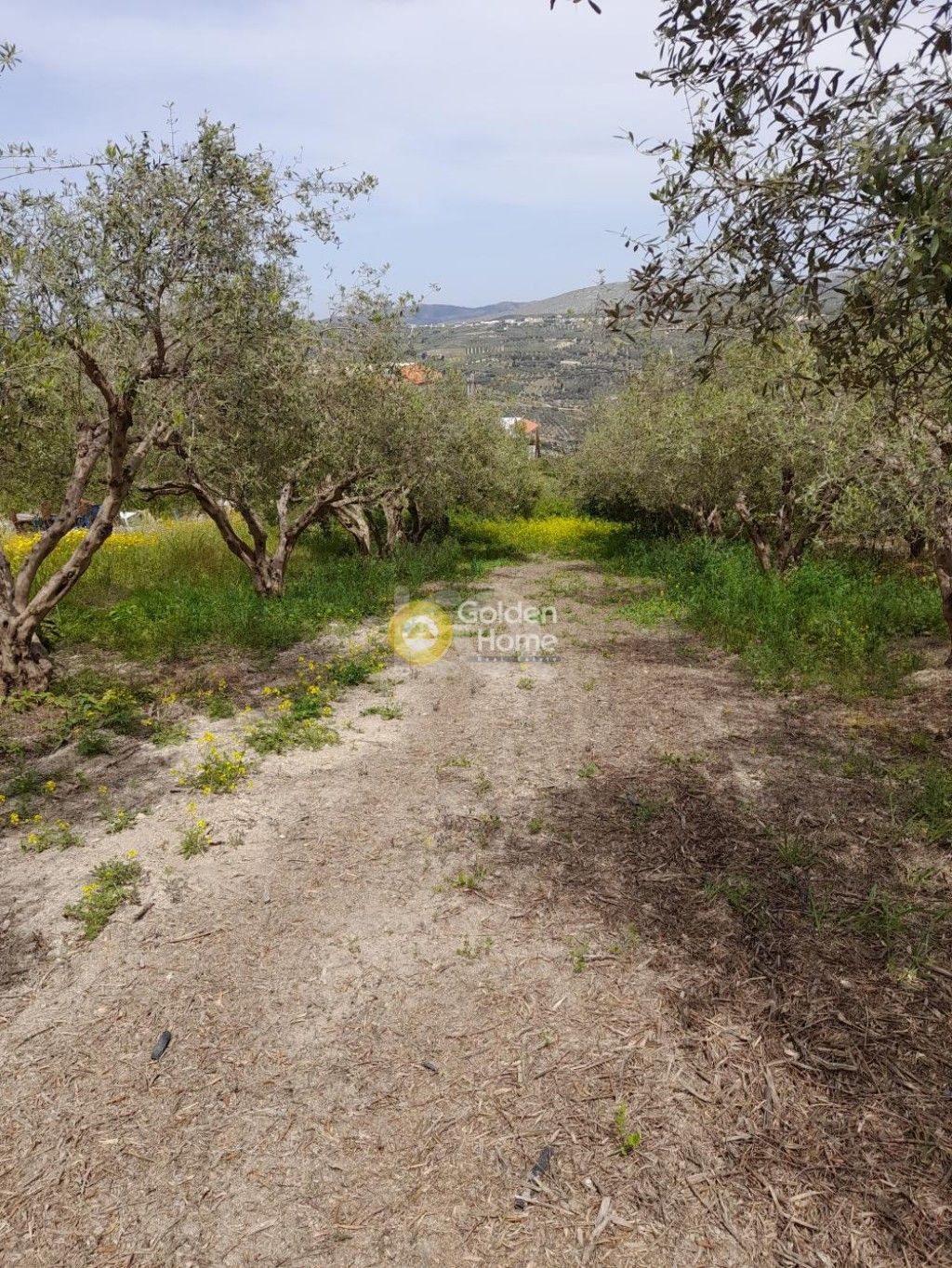 εικόνα αγγελίας