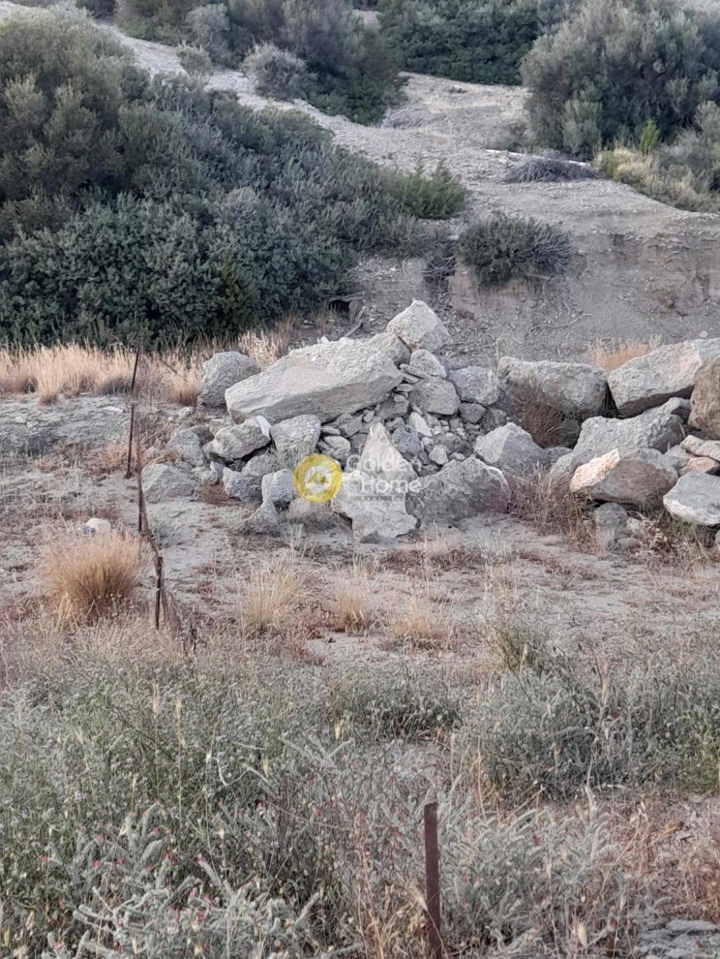 εικόνα αγγελίας