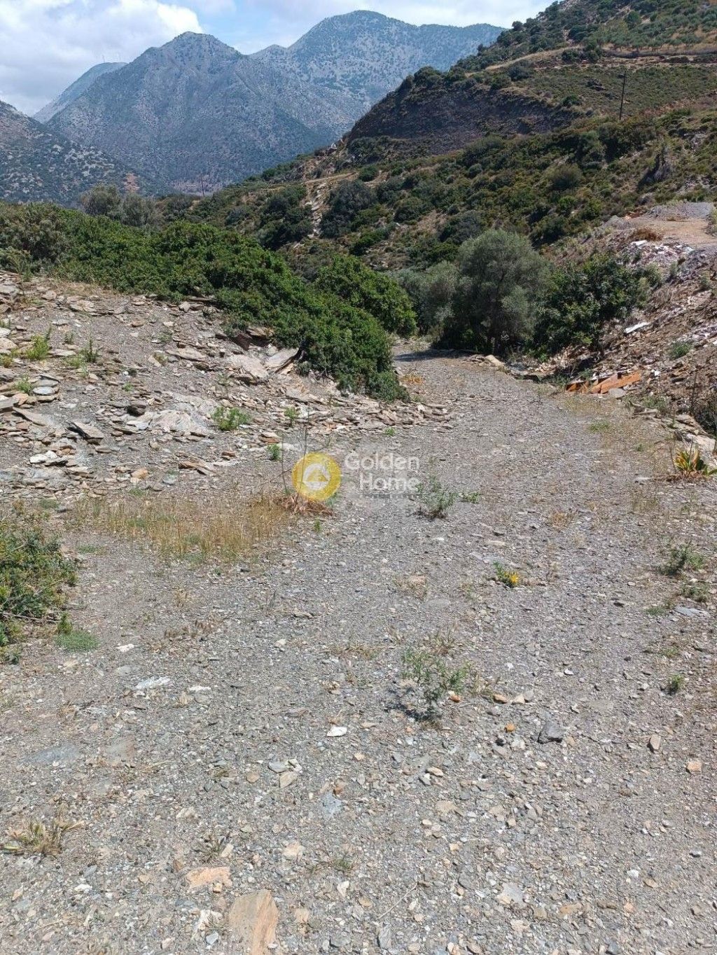 εικόνα αγγελίας