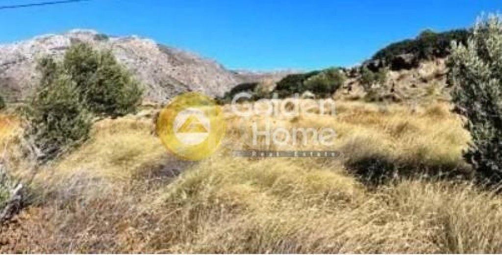 εικόνα αγγελίας