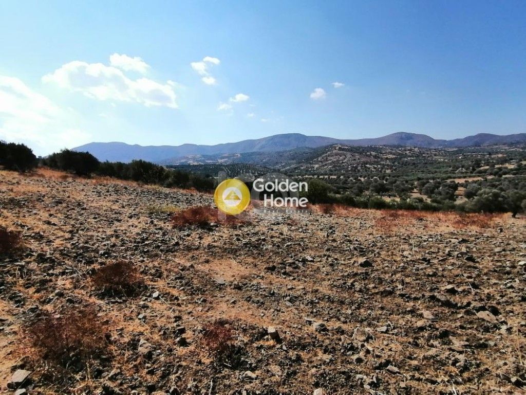 εικόνα αγγελίας