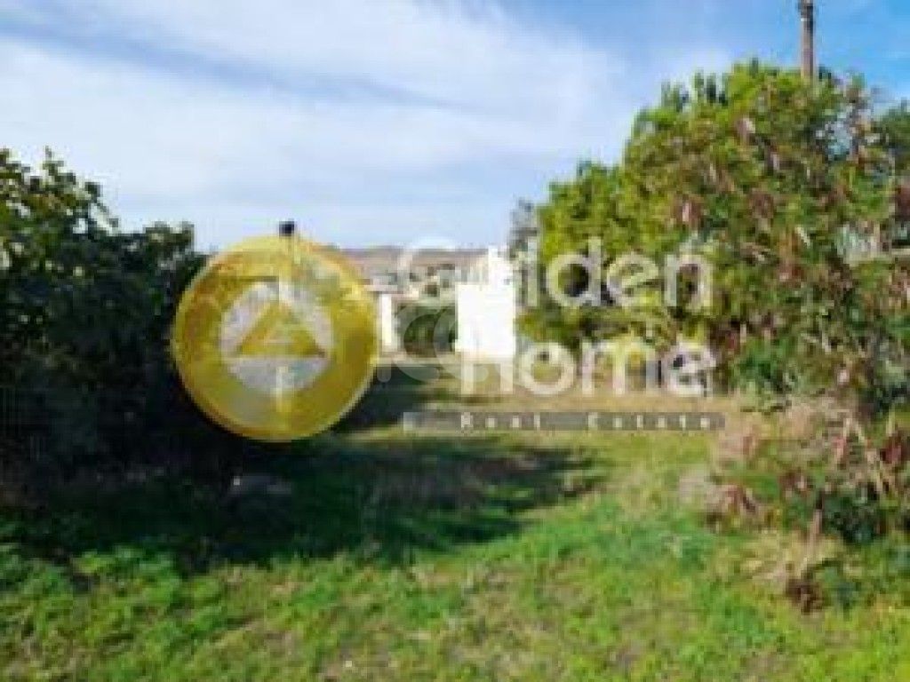 εικόνα αγγελίας