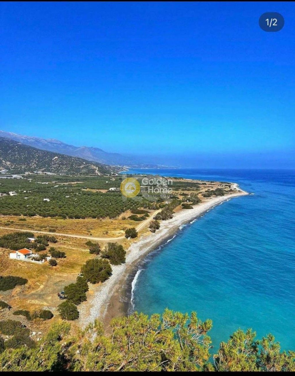 εικόνα αγγελίας