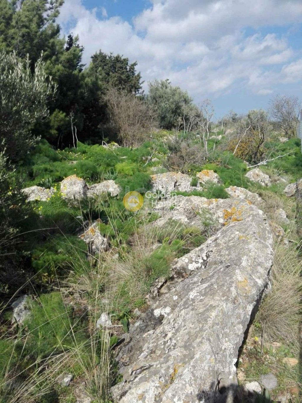 εικόνα αγγελίας