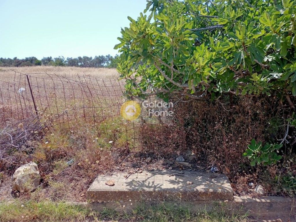 εικόνα αγγελίας