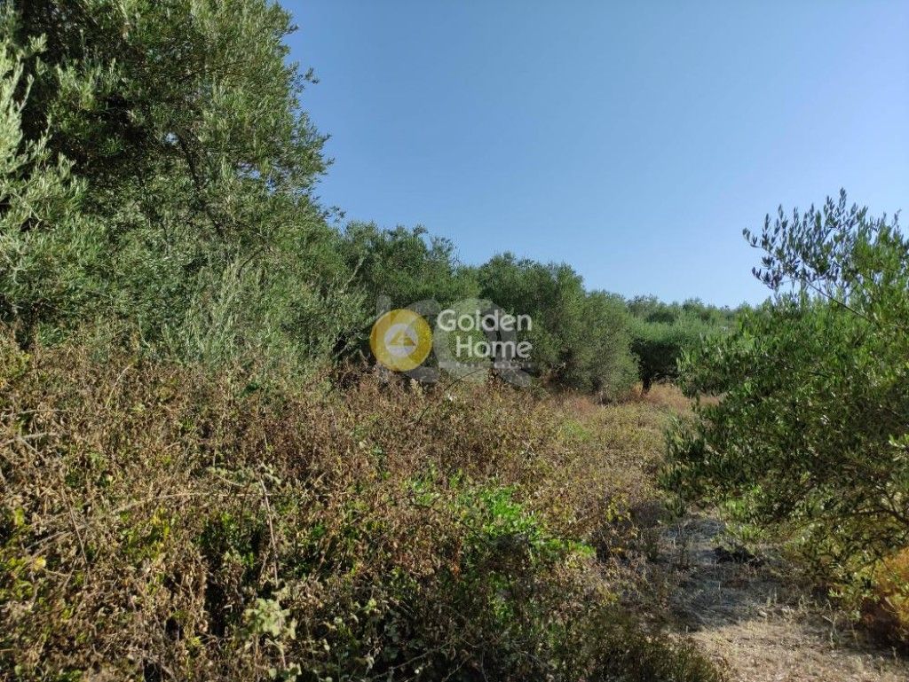 εικόνα αγγελίας