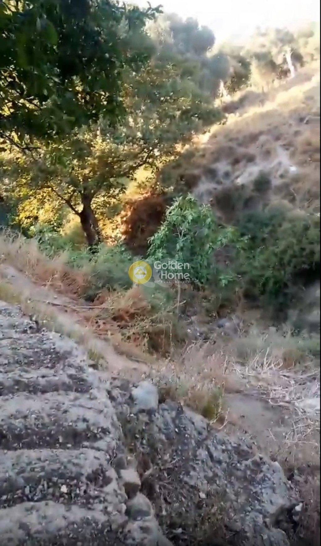 εικόνα αγγελίας