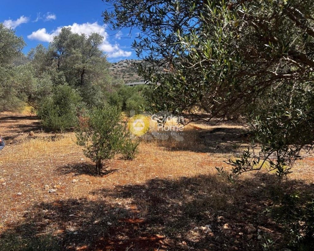 εικόνα αγγελίας