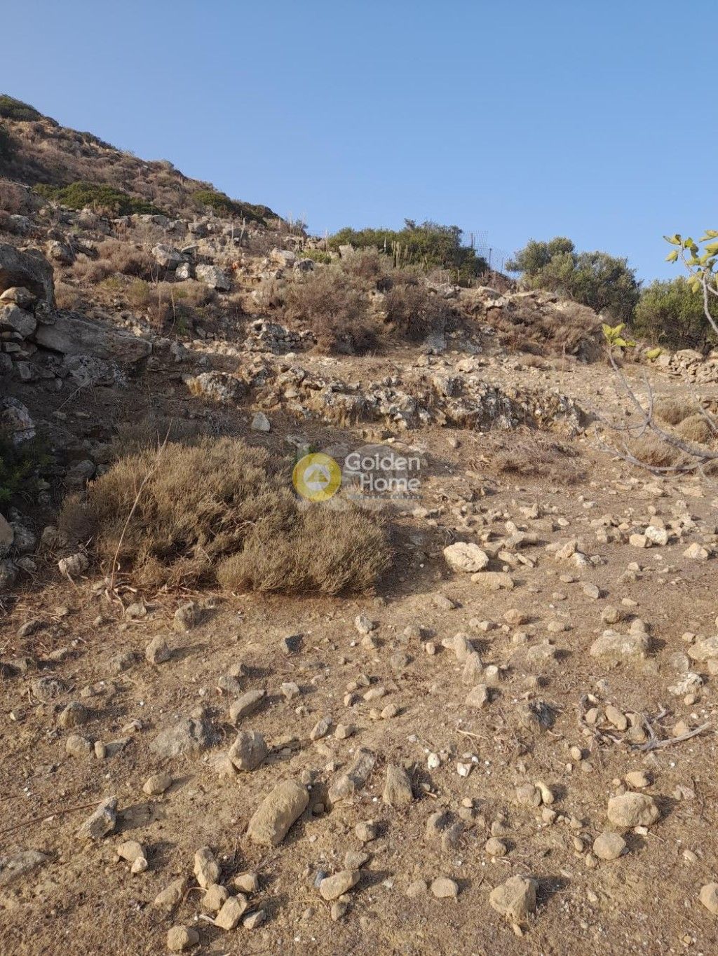 εικόνα αγγελίας