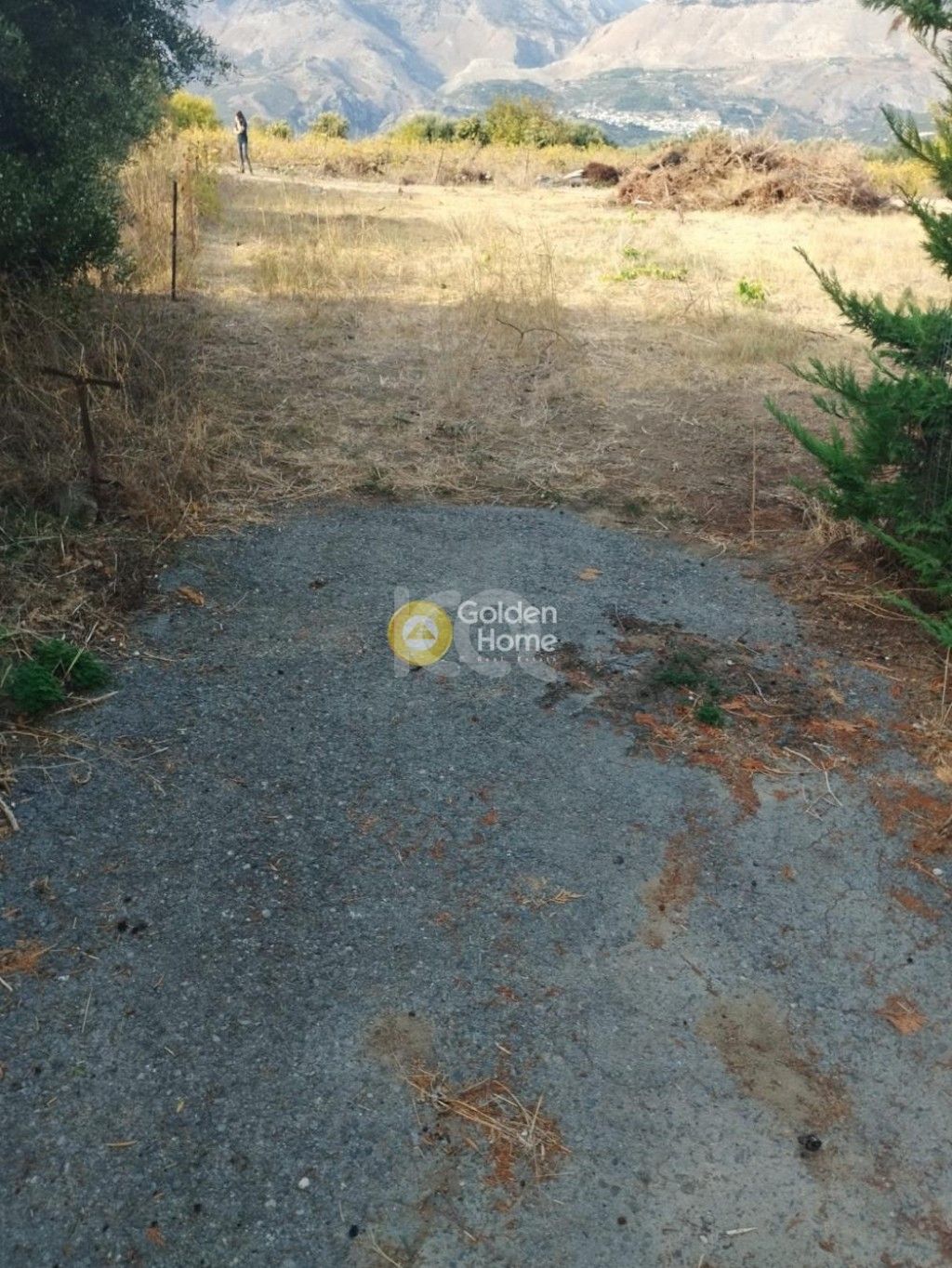 εικόνα αγγελίας