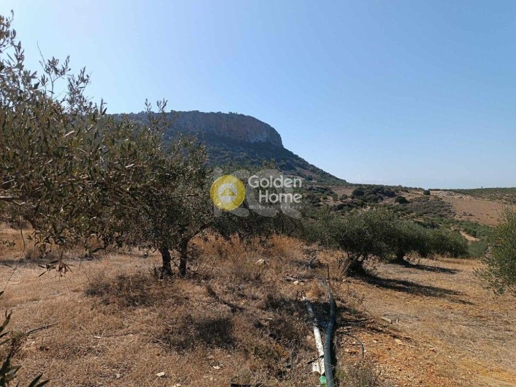 εικόνα αγγελίας