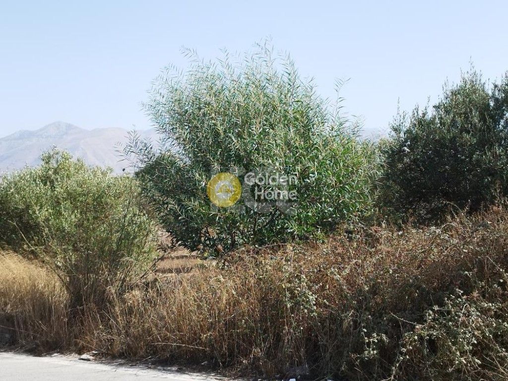 εικόνα αγγελίας