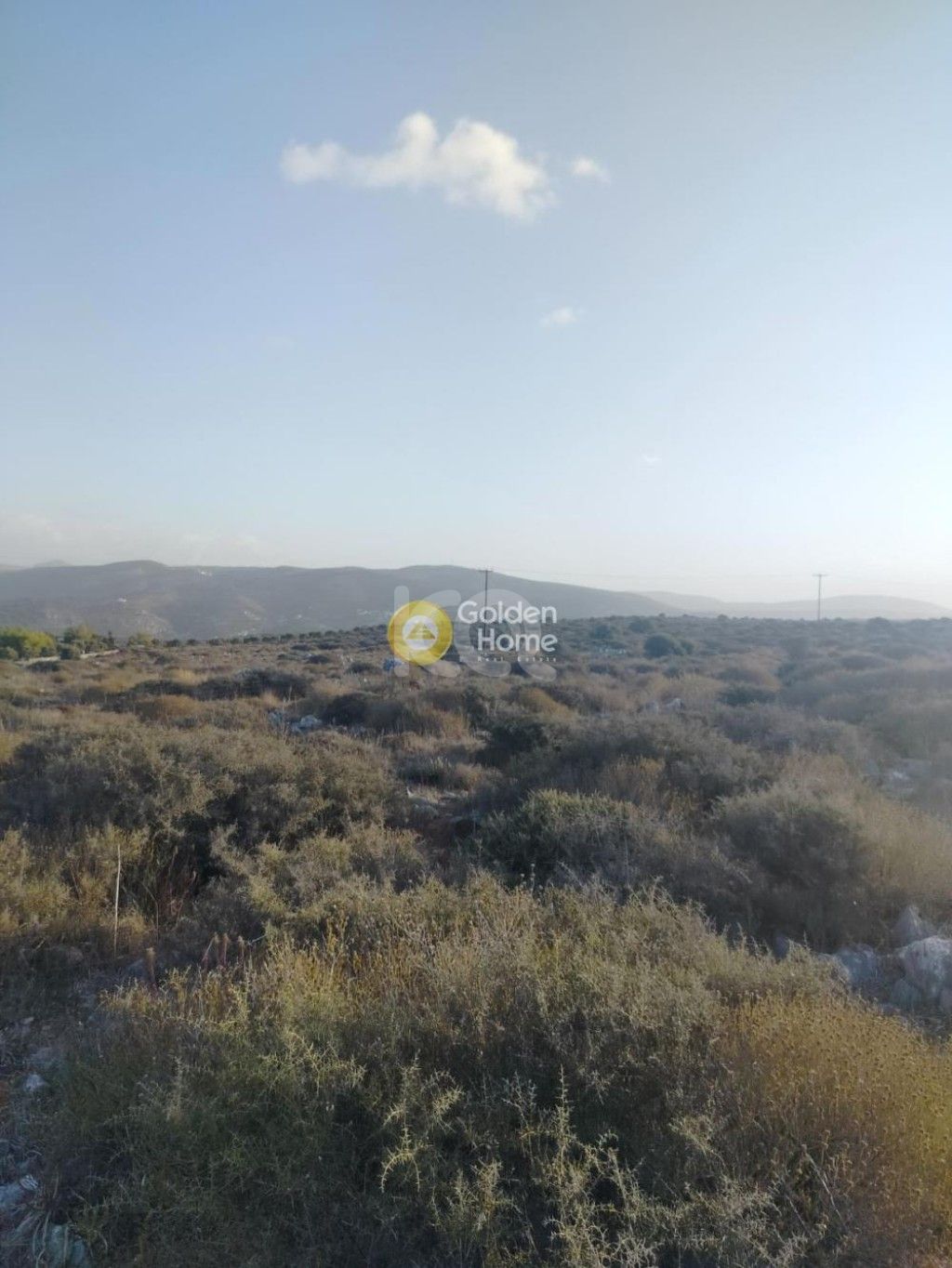 εικόνα αγγελίας