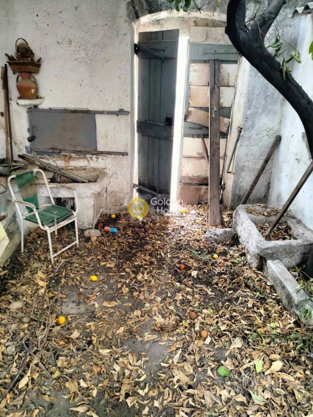 εικόνα αγγελίας