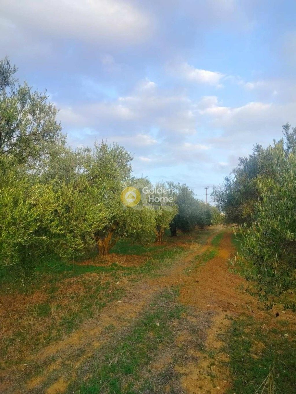 εικόνα αγγελίας