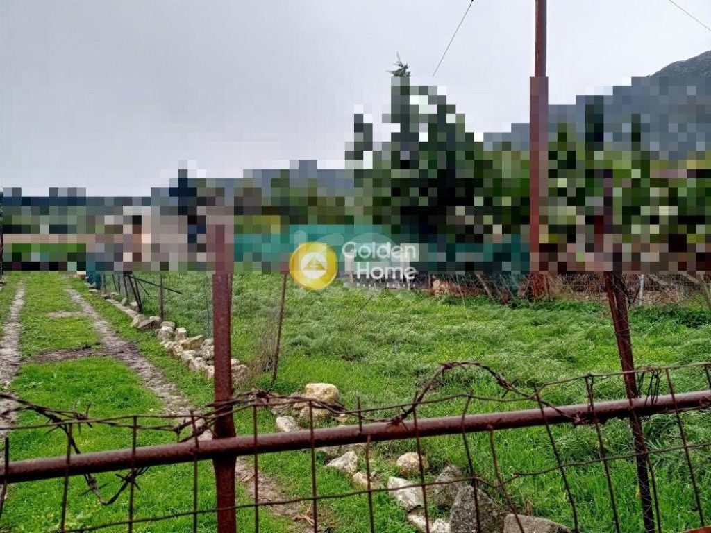 εικόνα αγγελίας