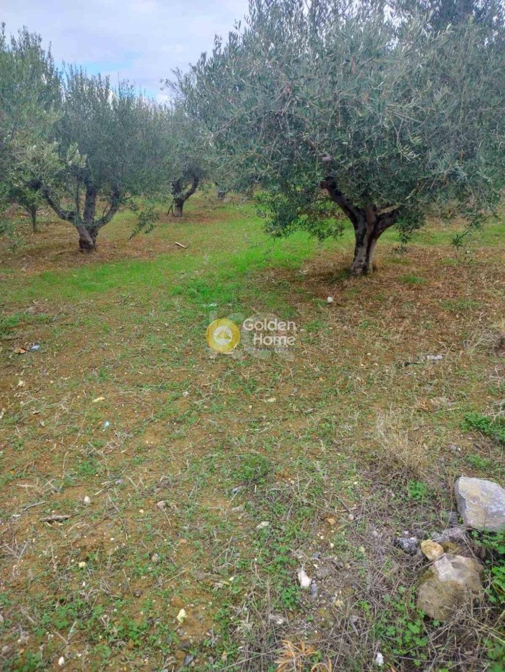 εικόνα αγγελίας