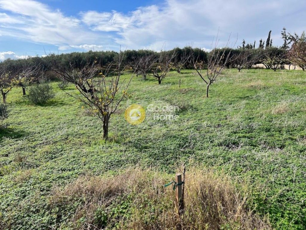 εικόνα αγγελίας